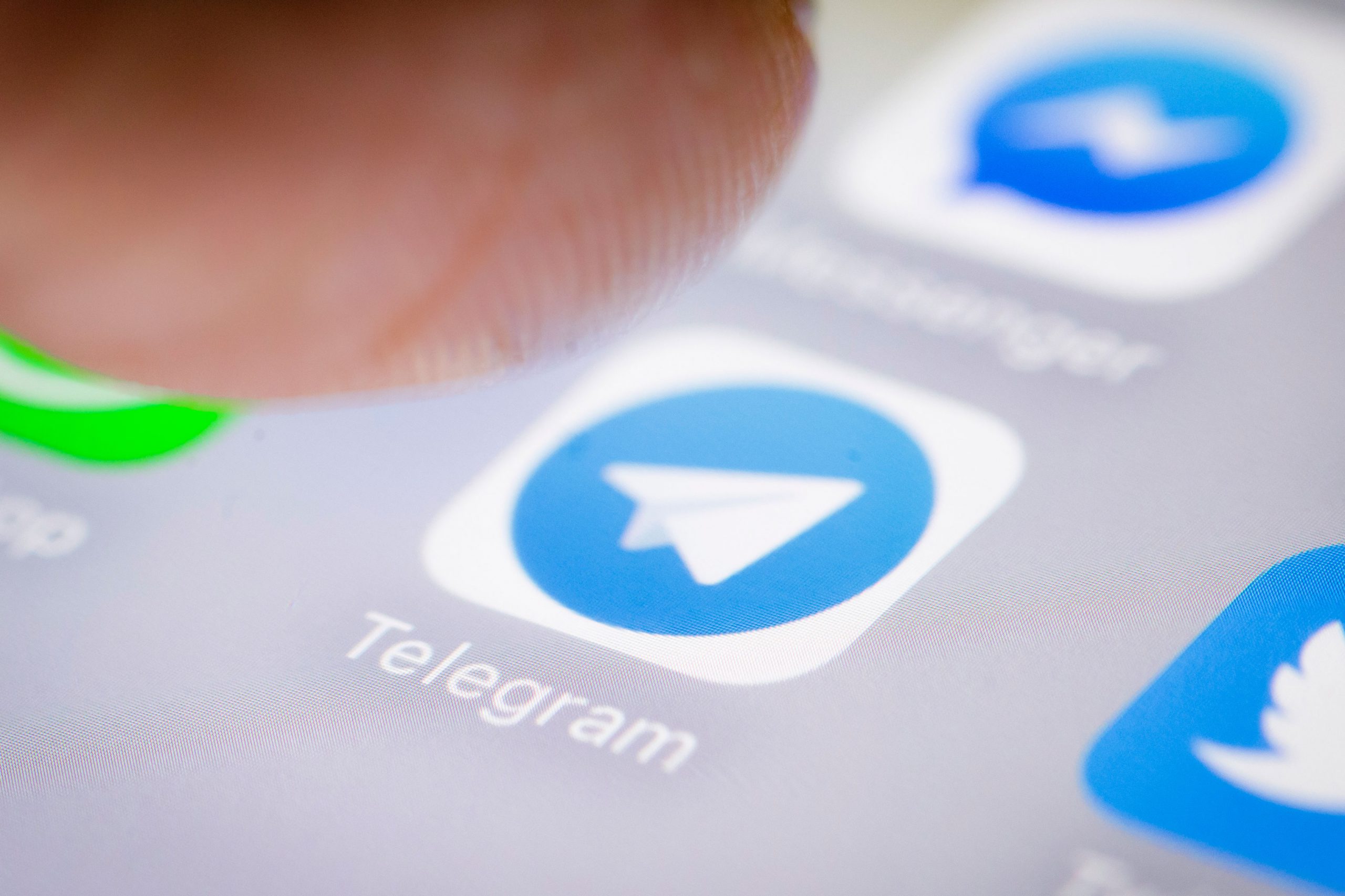 تلگرام دامون